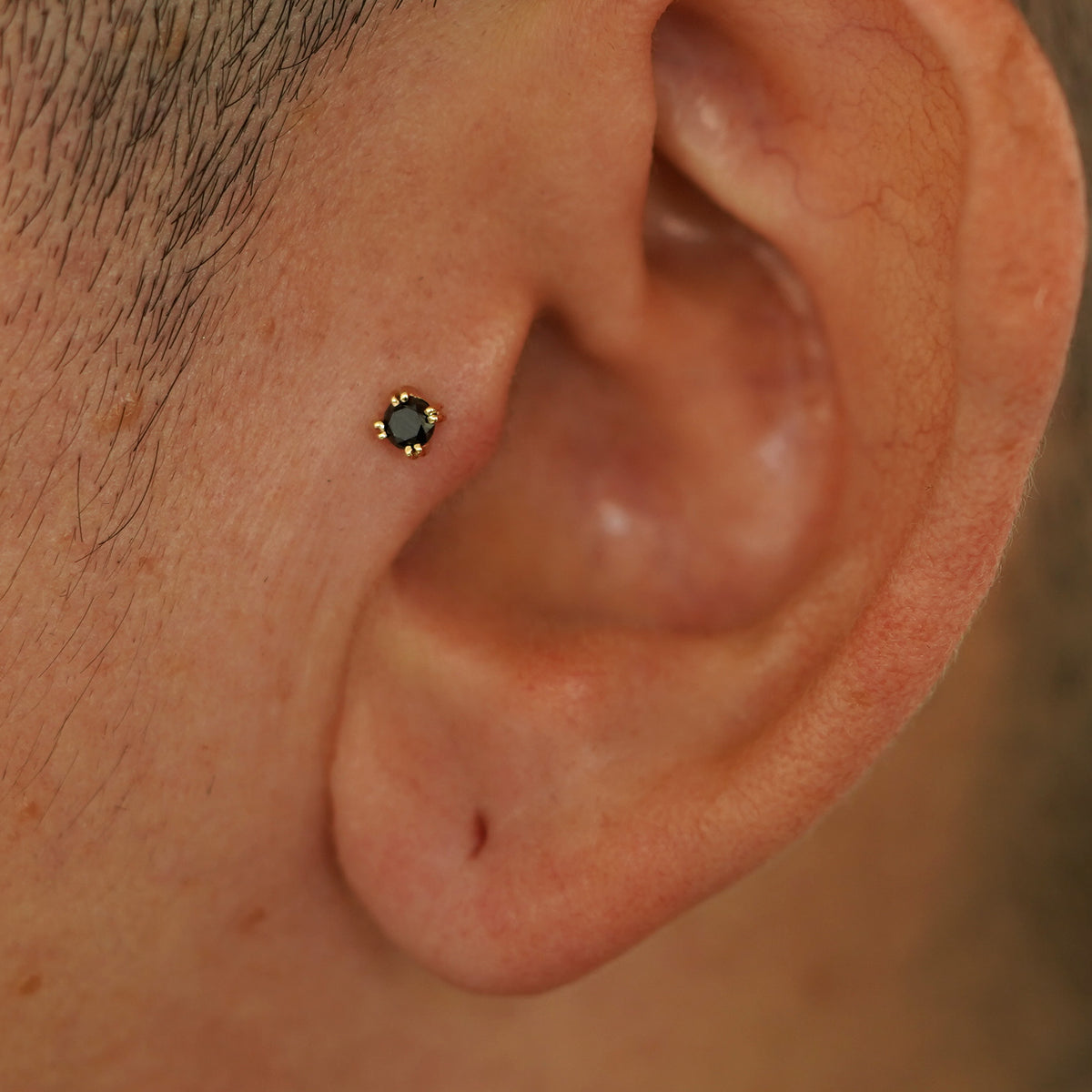 A model's ear wearing a 14k yellow gold Black Diamond Flatback in a tragus piercing
