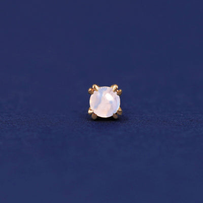 Front facing view of a 14k yellow gold Moonstone Flat Back Earring on a dark blue background