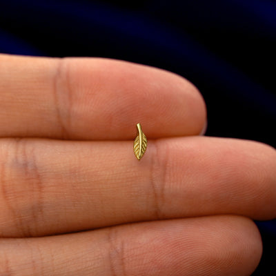A model holding a solid gold Mini Leaf stud earring between two fingers