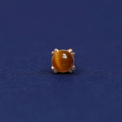 Front facing view of a 14k yellow gold Tiger Eye Flat Back Earring