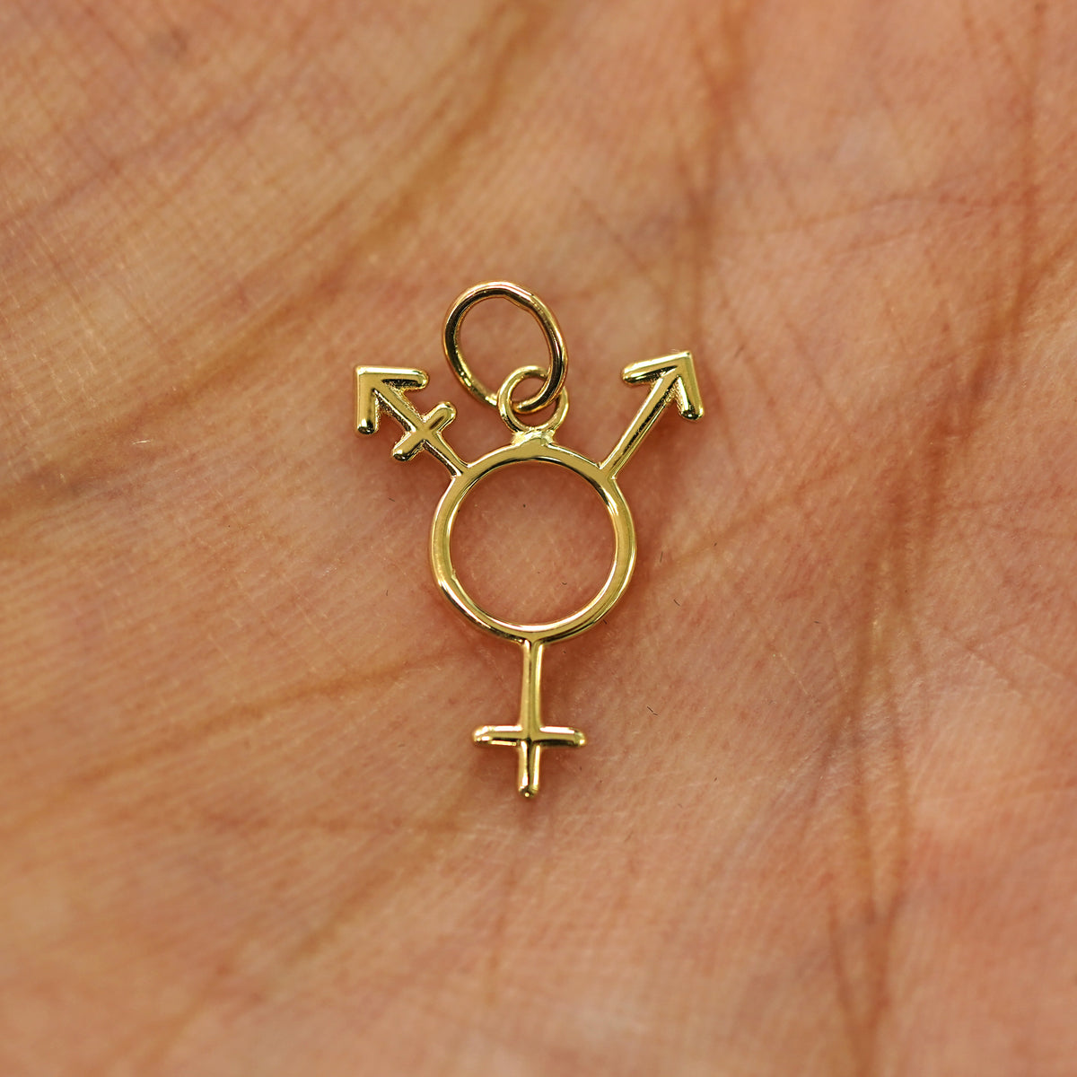 A solid gold Trans Symbol Charm for chain resting in a model's palm