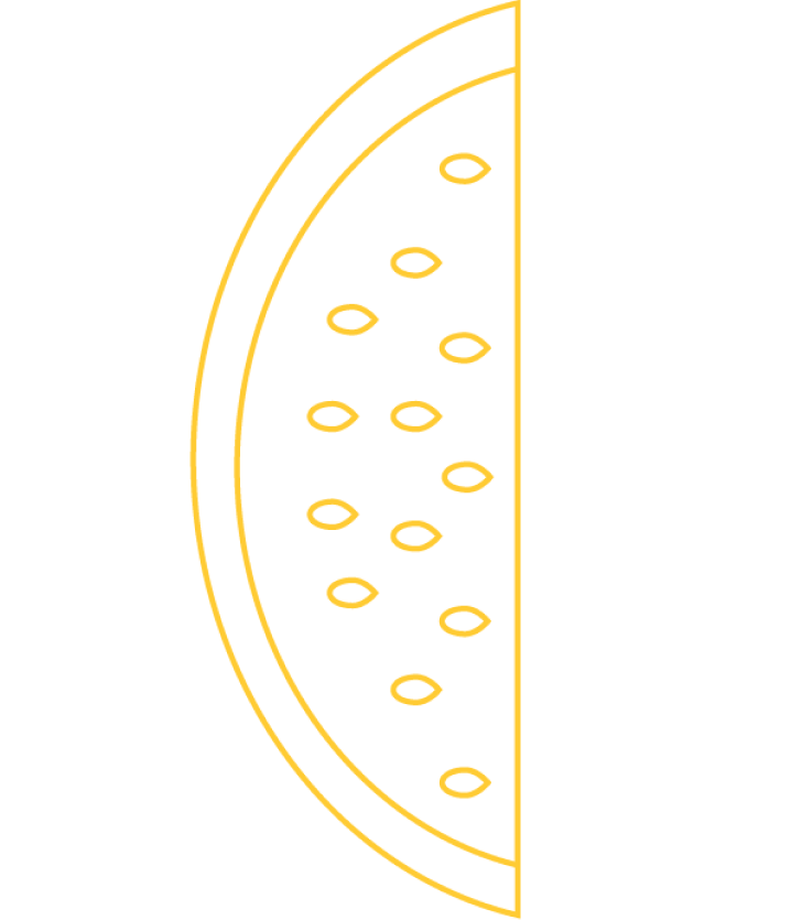 A graphic of a watermelon slice