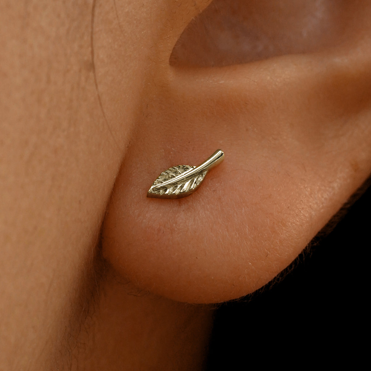 Close up view of a model's ear wearing a 14k champagne gold Leaf Earring