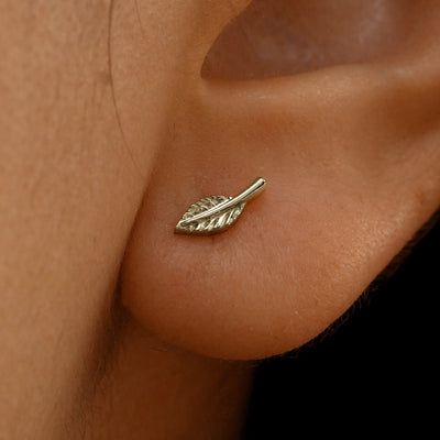 Close up view of a model's ear wearing a 14k champagne gold Leaf Earring