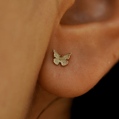 Close up view of a model's ear wearing a 14k champagne gold Mini Butterfly Earring