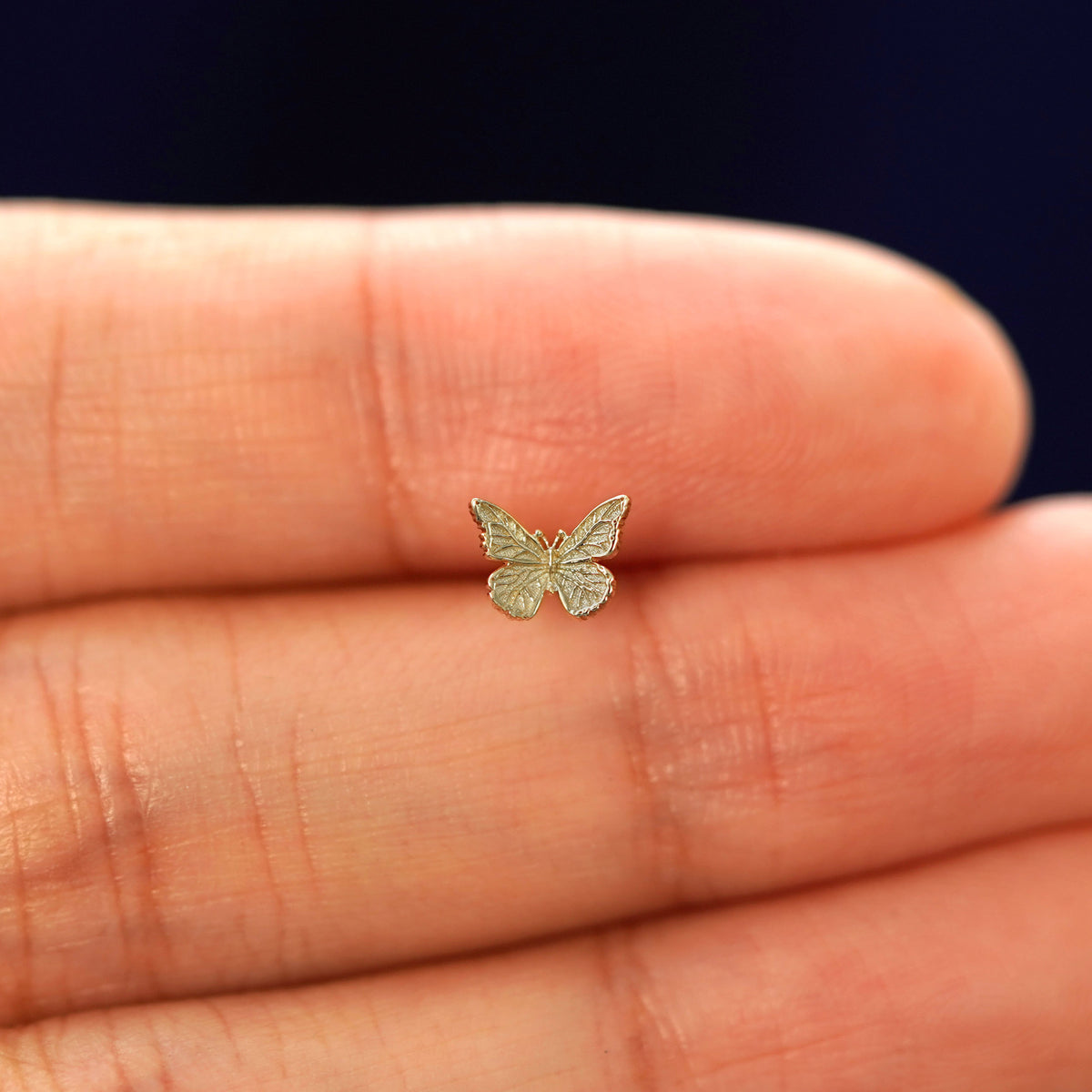 A hand holding a 14k champagne gold mini butterfly stud Flatback Piercing in between their fingers