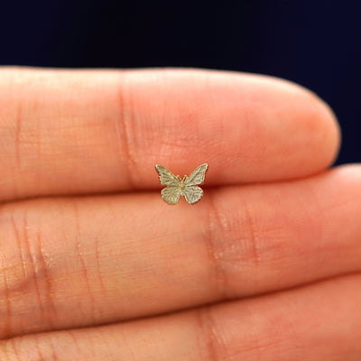 A hand holding a 14k champagne gold mini butterfly stud Flatback Piercing in between their fingers