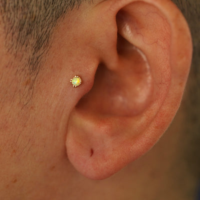 A model's ear wearing a 14k yellow gold Opal Flatback in a tragus piercing