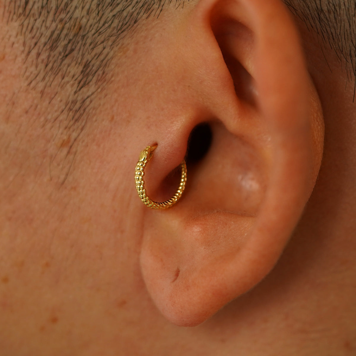 A model wearing a 14k yellow gold Snake Hoop in a tragus piercing