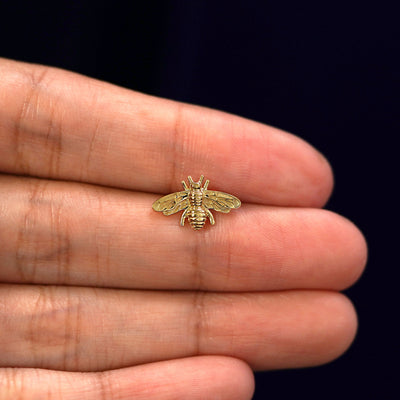 A solid 14k yellow gold Bee Earring in between a model's fingers