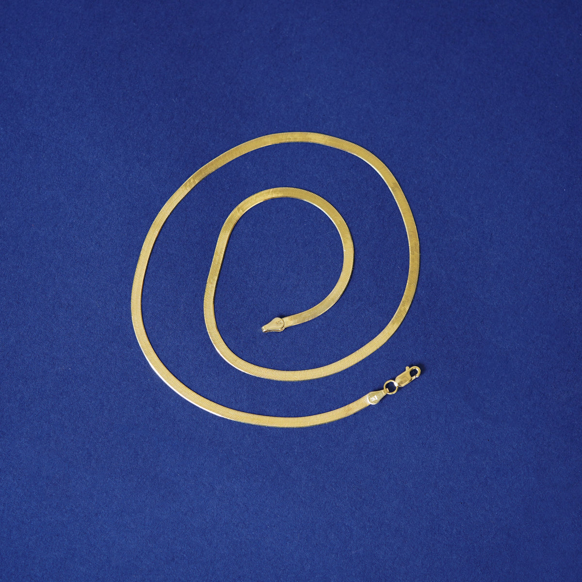 A 14k yellow gold herringbone chain necklace curled into a spiral on a blue background