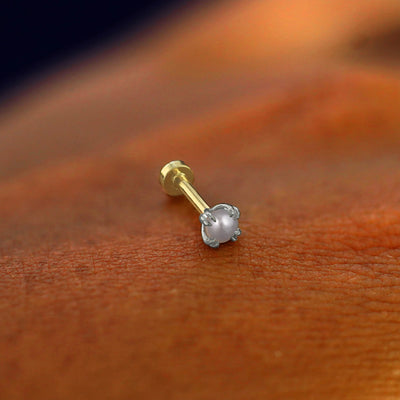 A solid 14k white gold Pearl Flatback Piercing resting on the back of a model's hand