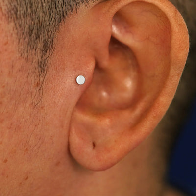 A model's ear wearing a 14k white gold Small Circle Flatback in a tragus piercing