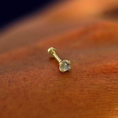 A solid 14k yellow gold labradorite Flatback Piercing resting on the back of a model's 
