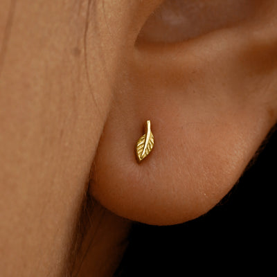 Close up view of a model's ear wearing a 14k yellow gold Mini Leaf Earring