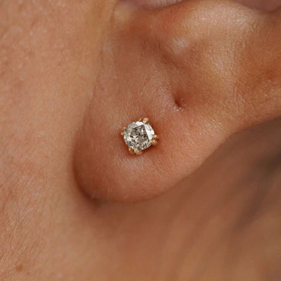 A model's ear wearing a 14k yellow gold Salt and Pepper Diamond Earring