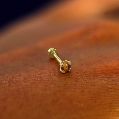 A solid 14k yellow gold Tiger Eye Flatback Piercing resting on the back of a model's hand